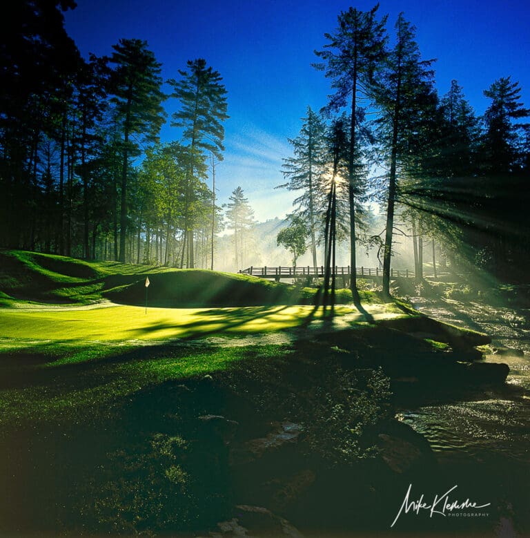 Wade Hampton Wall Art | Signature Collection