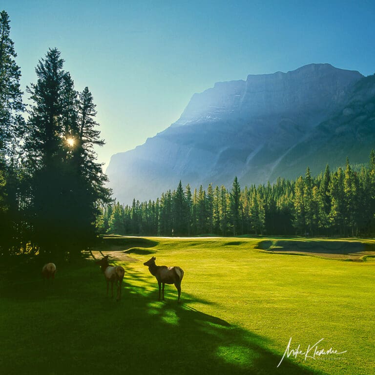 Banff Springs Golf Course Wall Art | Signature Collection