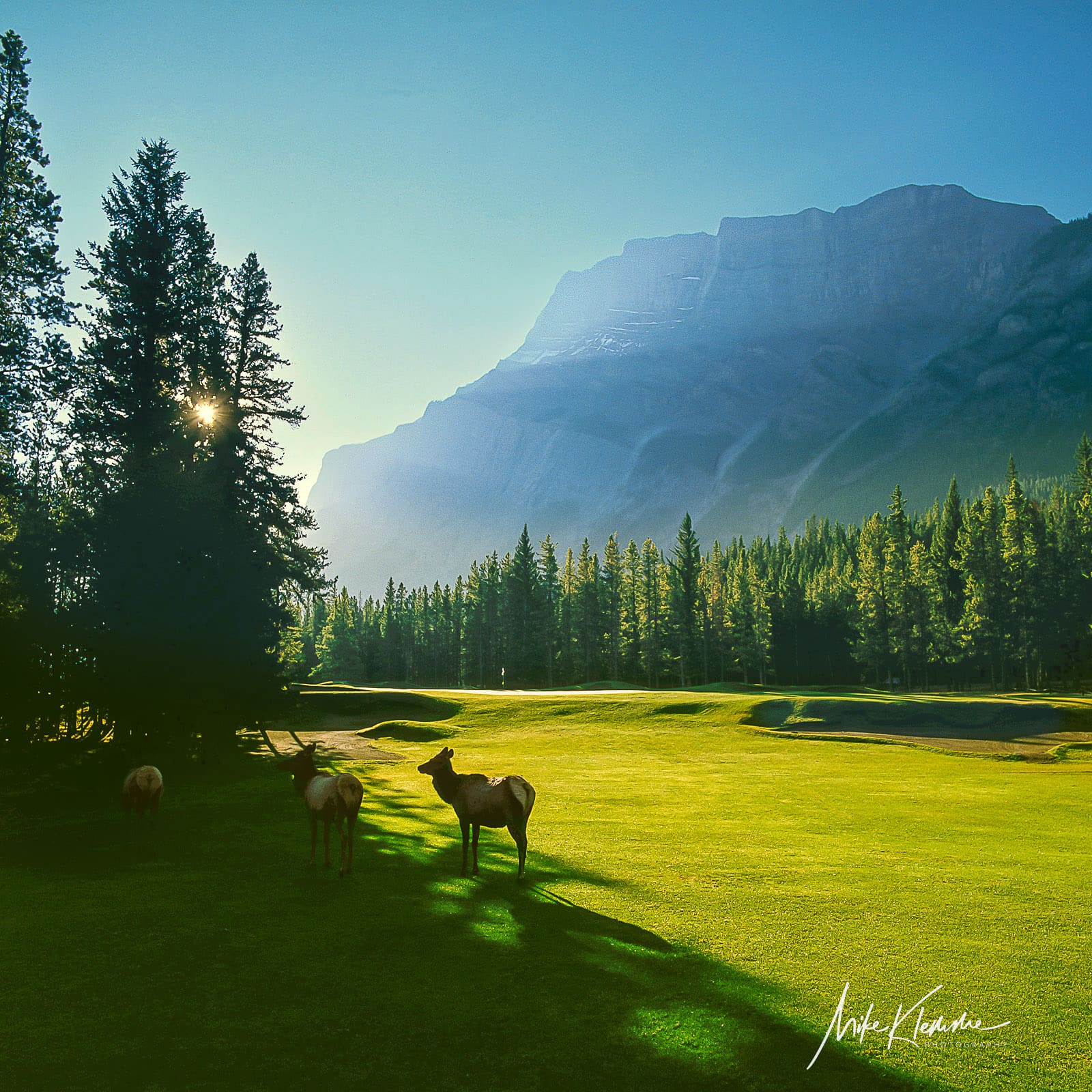 Banff Springs Golf Course Wall Art | Signature Collection