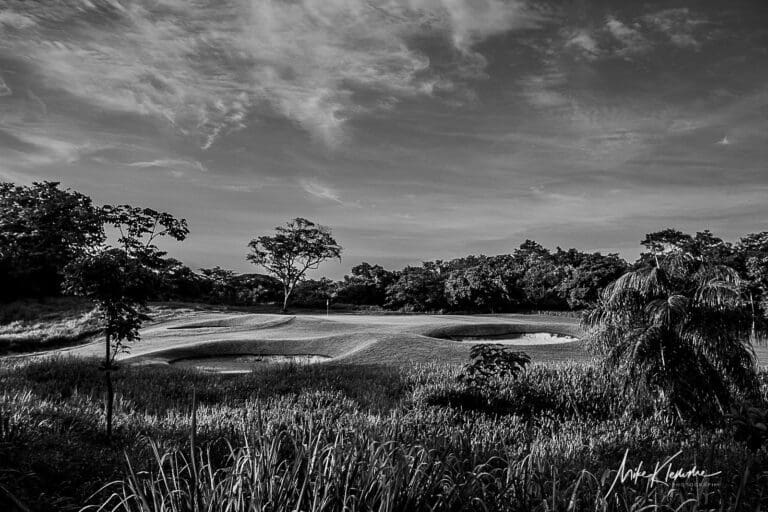 Hacienda Pinilla Black and White Golf Art | Monochrome Collection
